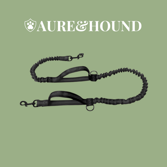 Aure & Hound Heavy Duty Leash